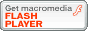 Para ver as Charges você precisa do plugin Flash Player